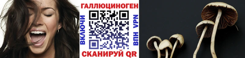 Галлюциногенные грибы Psilocybine cubensis  Межгорье 